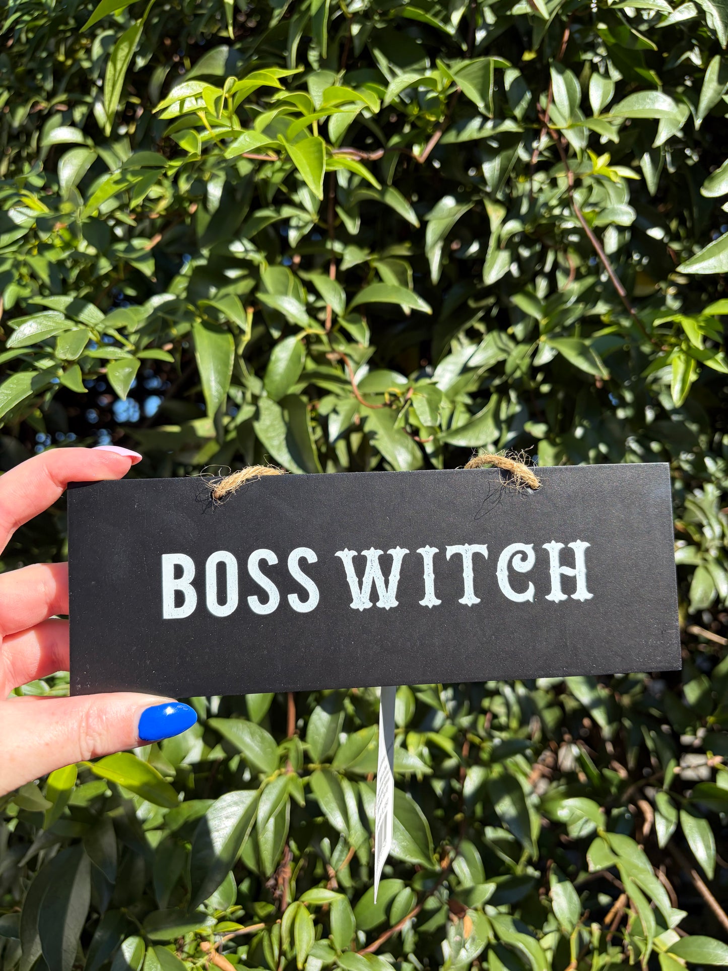 Boss Witch Wooden Sign