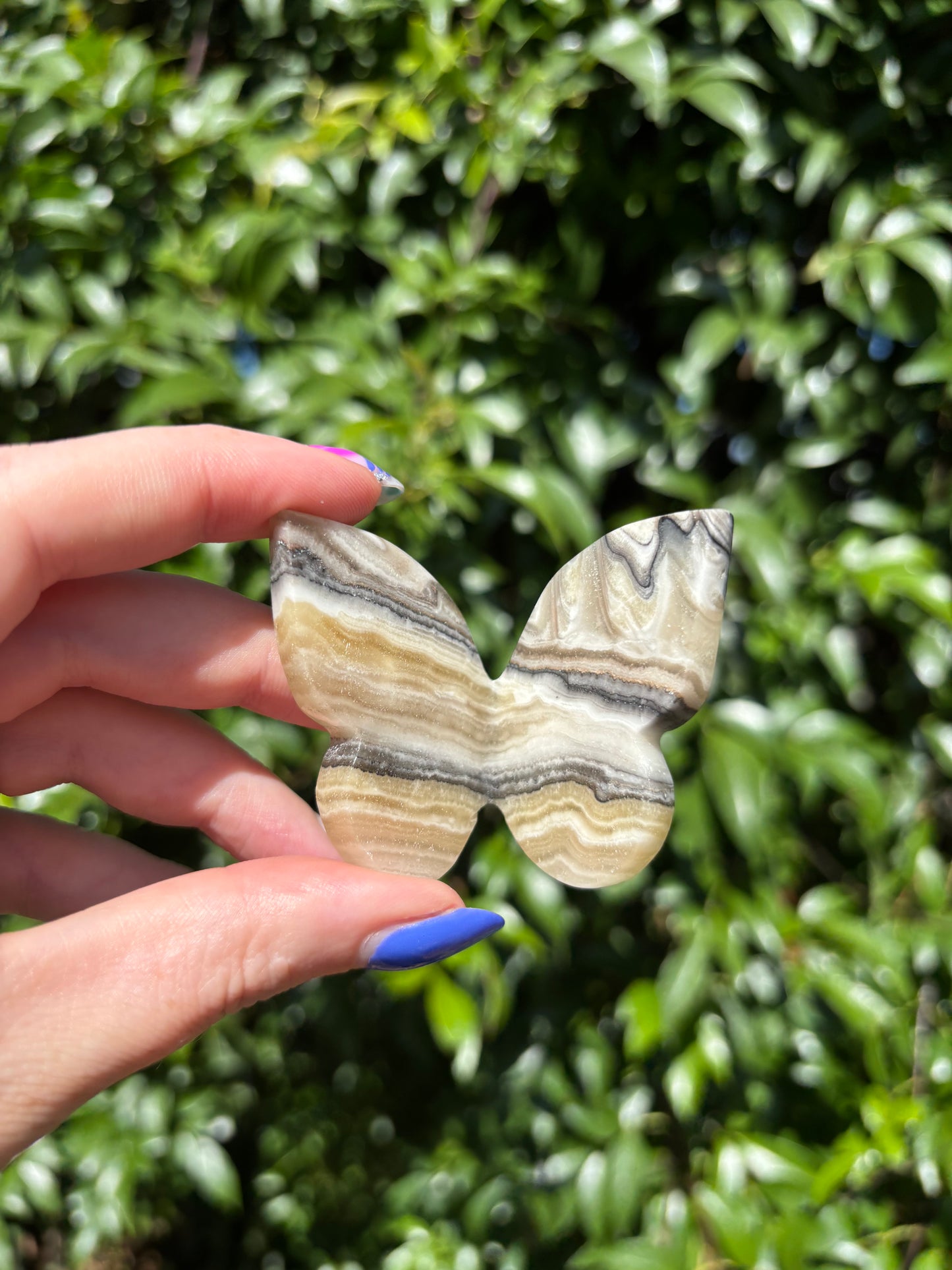 Zebra Calcite 3D Large Butterfly A