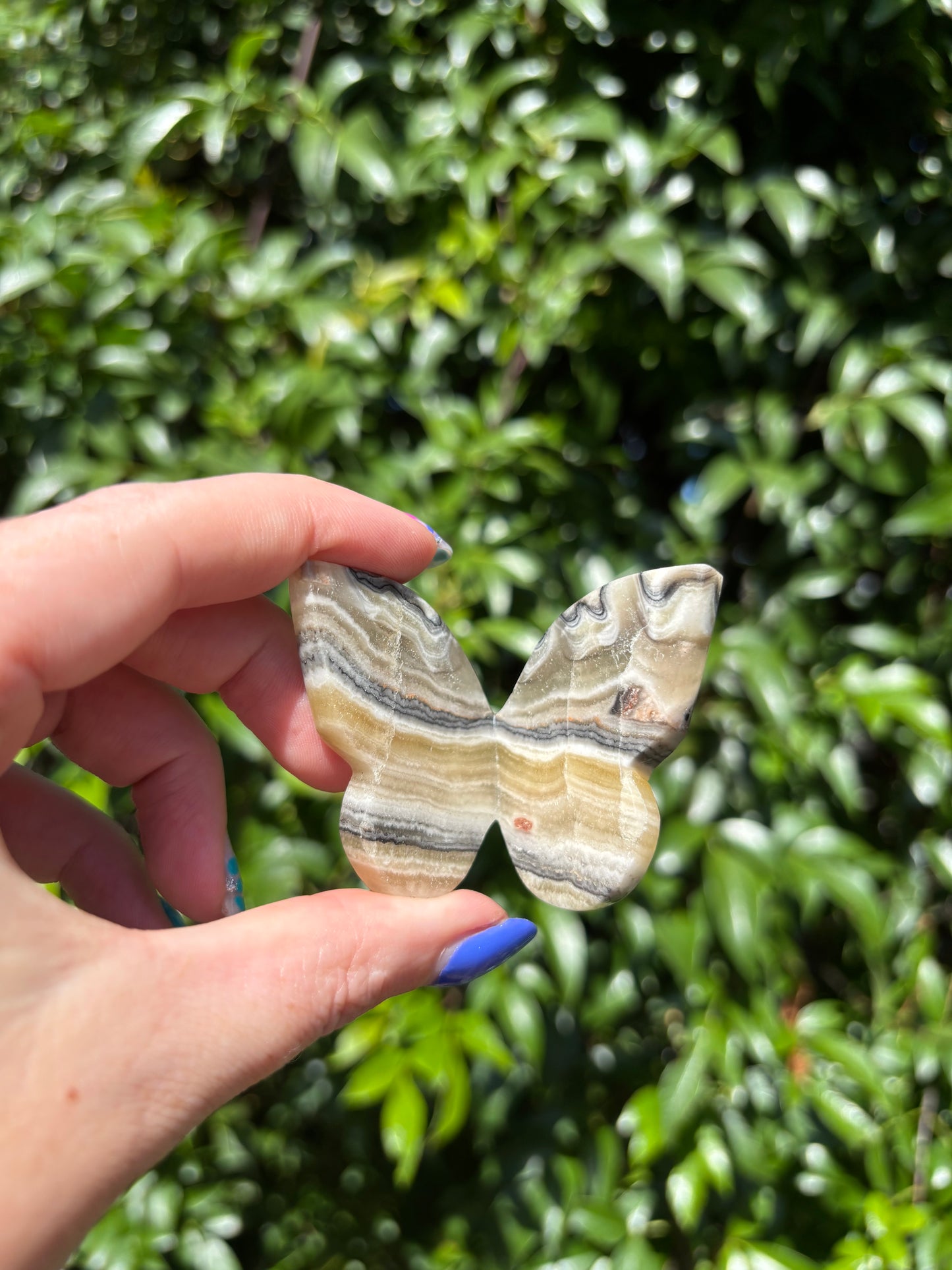 Zebra Calcite 3D Large Butterfly C