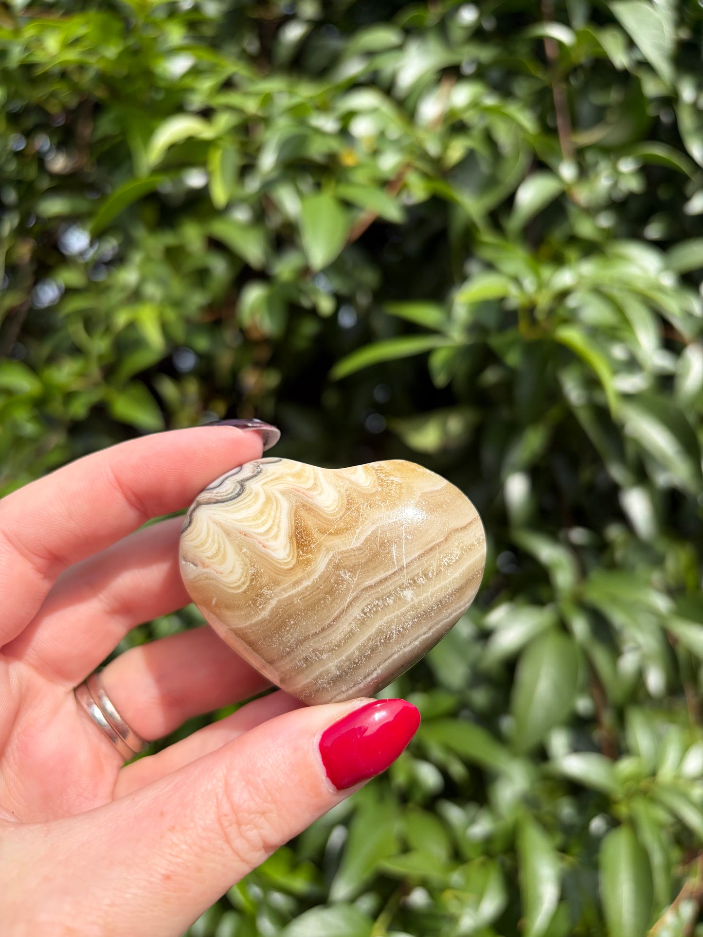 Zebra Calcite Heart F