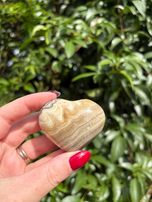 Zebra Calcite Heart F