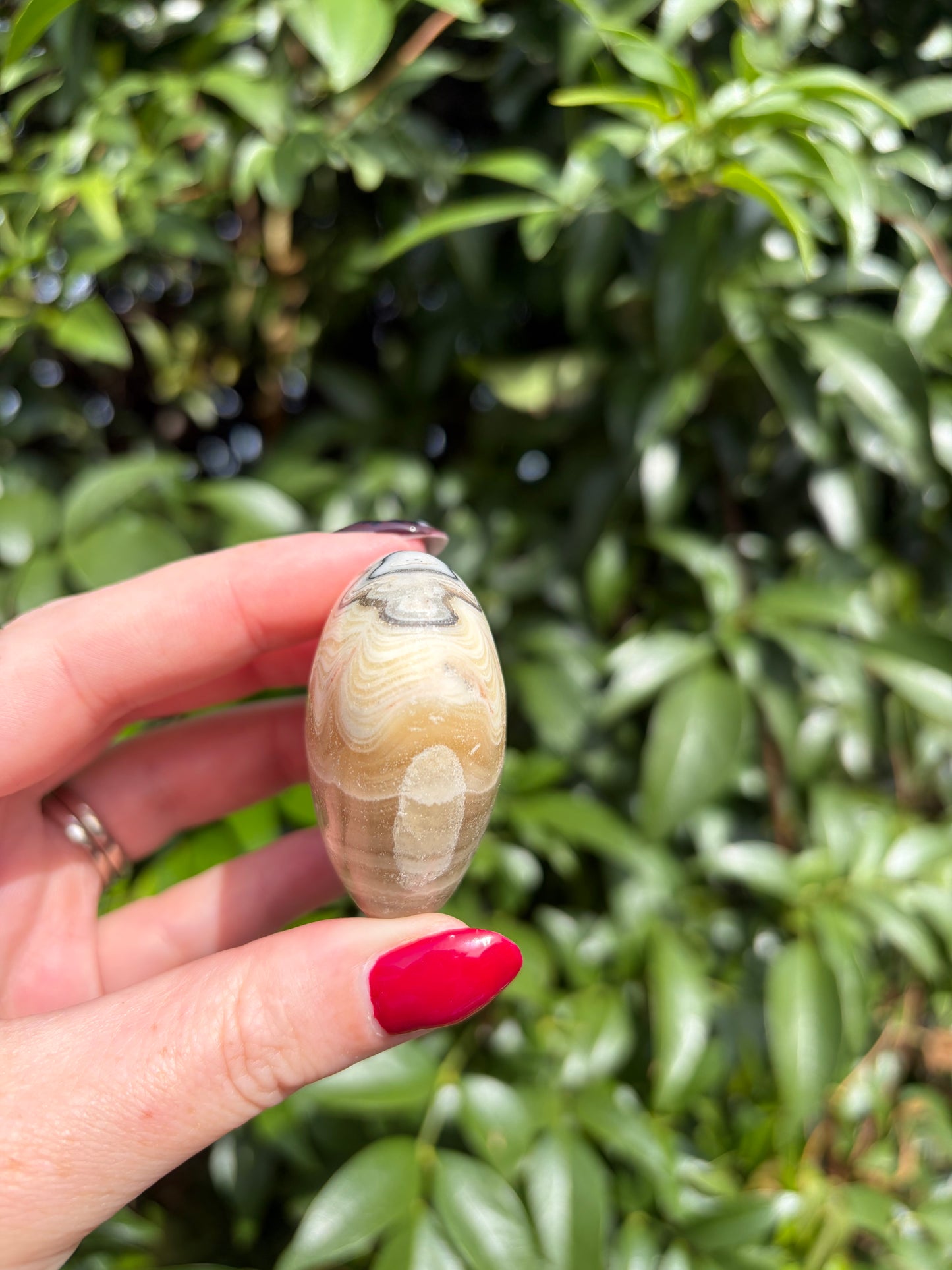 Zebra Calcite Heart F