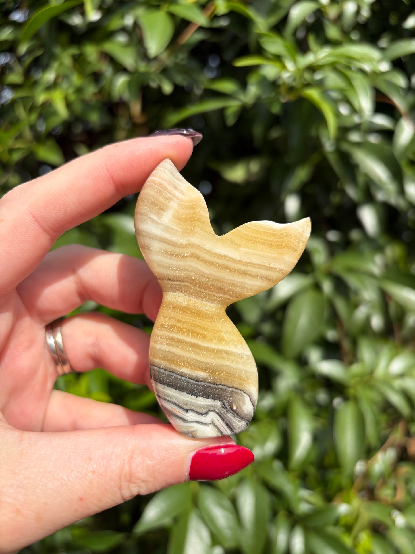 Zebra Calcite Mermaid Tail A
