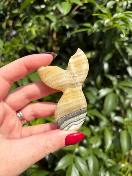 Zebra Calcite Mermaid Tail A