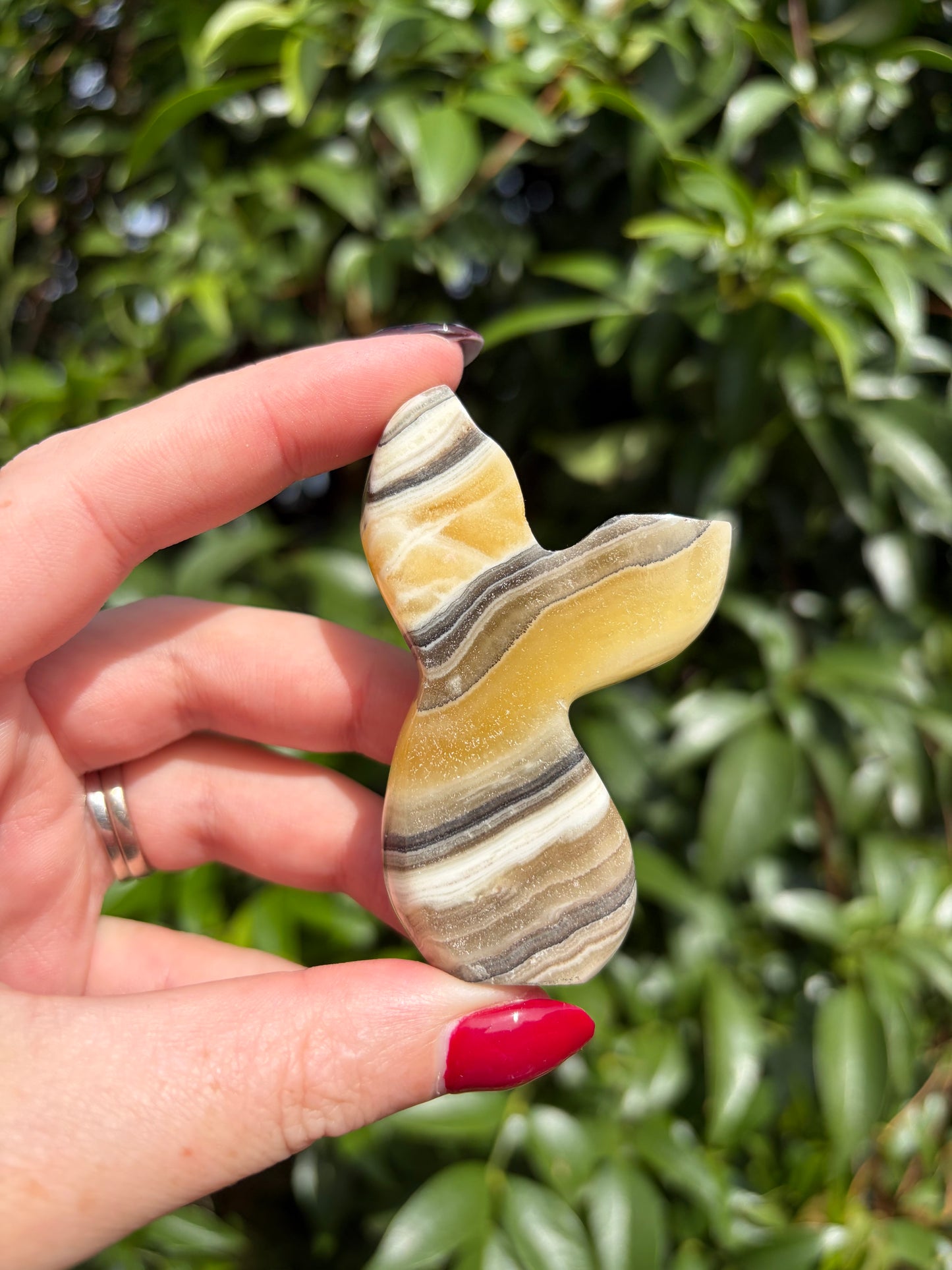 Zebra Calcite Mermaid Tail B