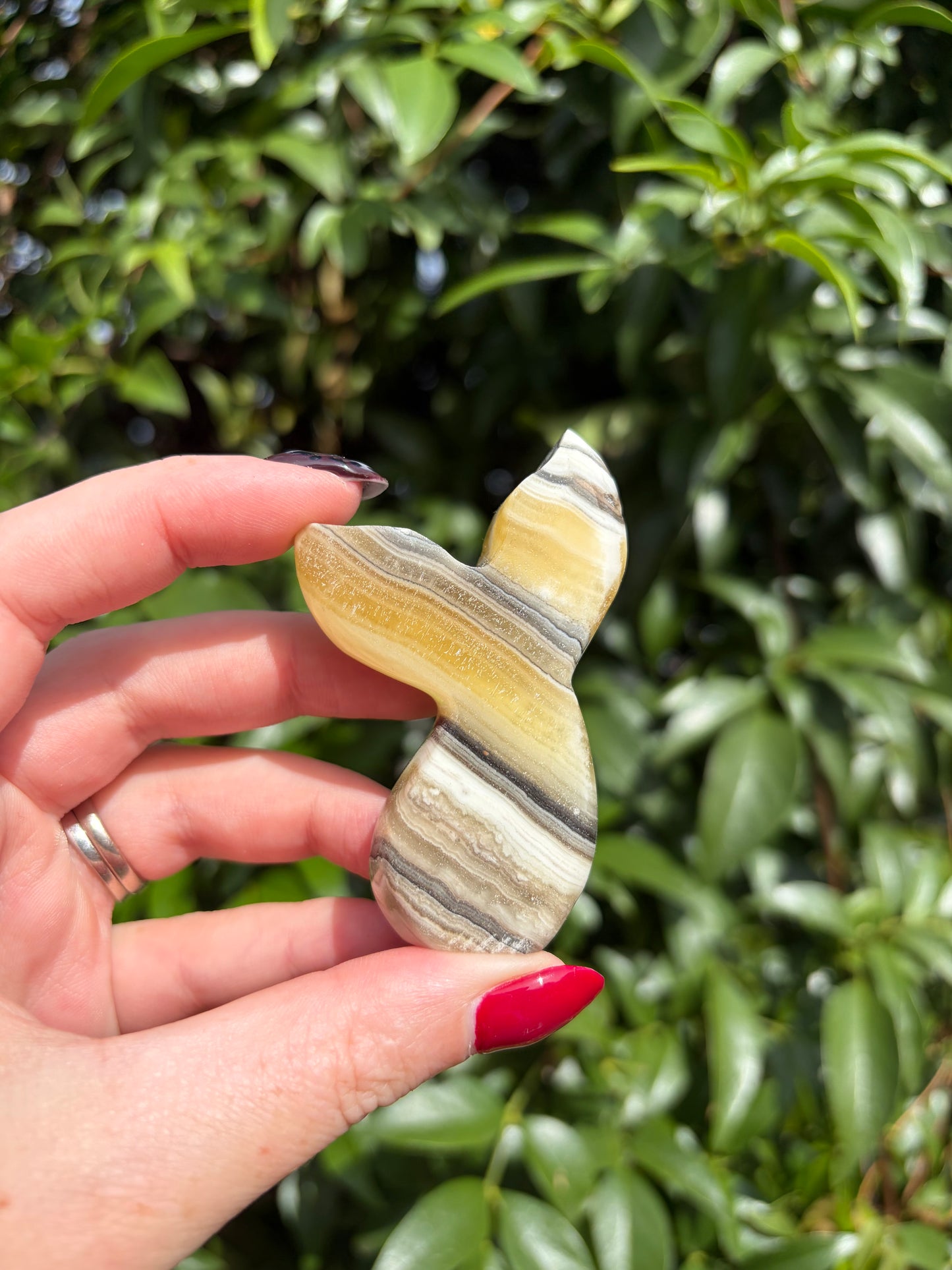 Zebra Calcite Mermaid Tail B