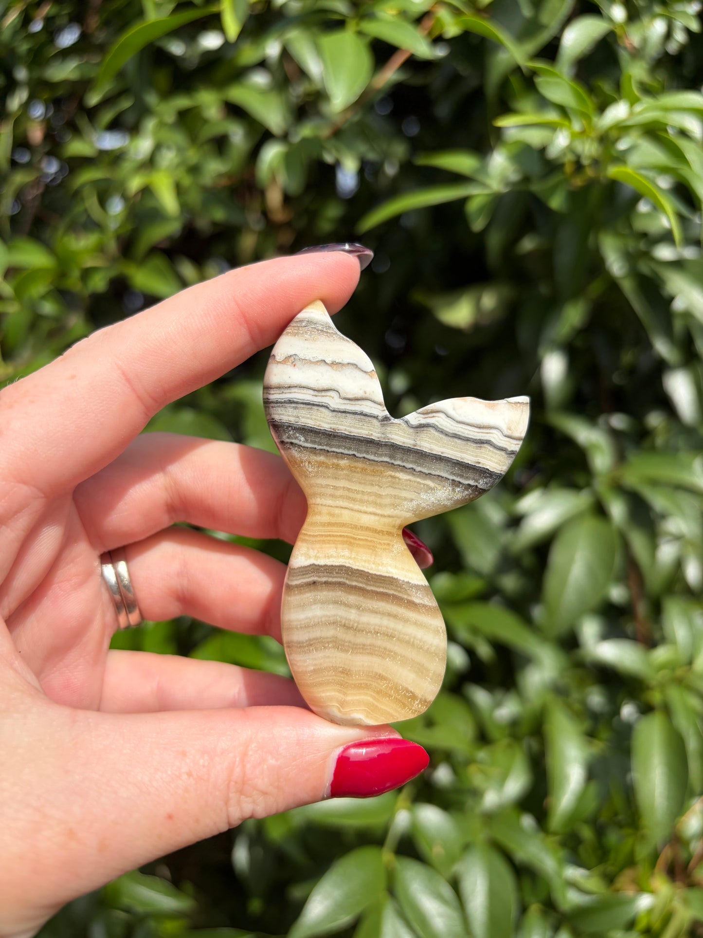 Zebra Calcite Mermaid Tail C