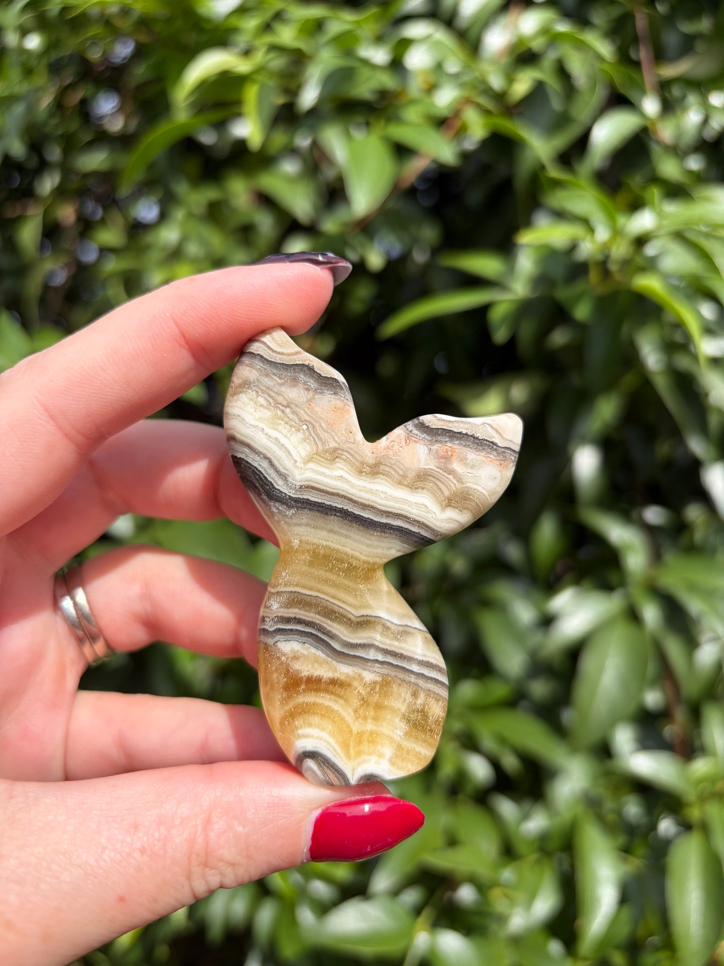Zebra Calcite Mermaid Tail D