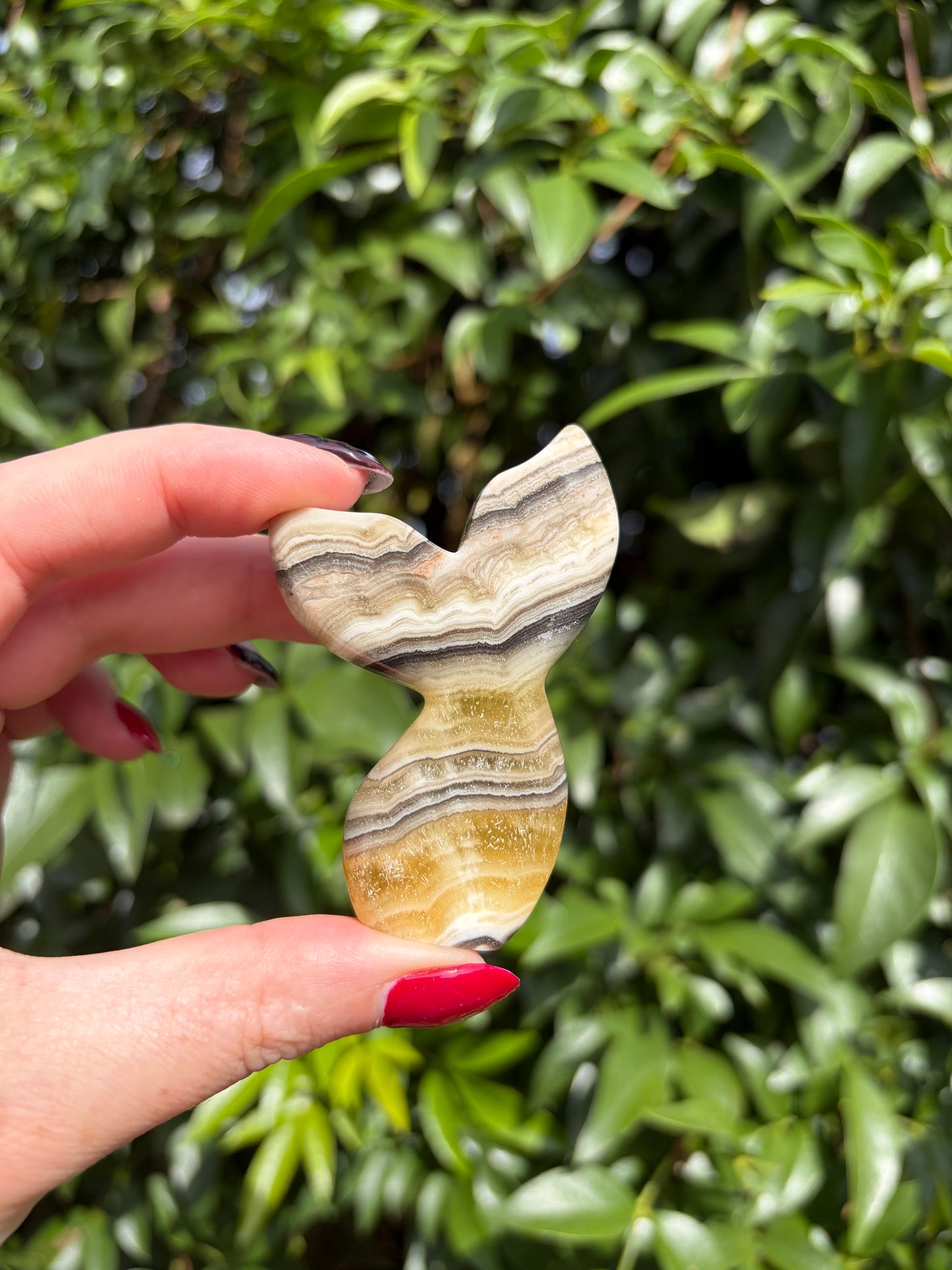 Zebra Calcite Mermaid Tail D