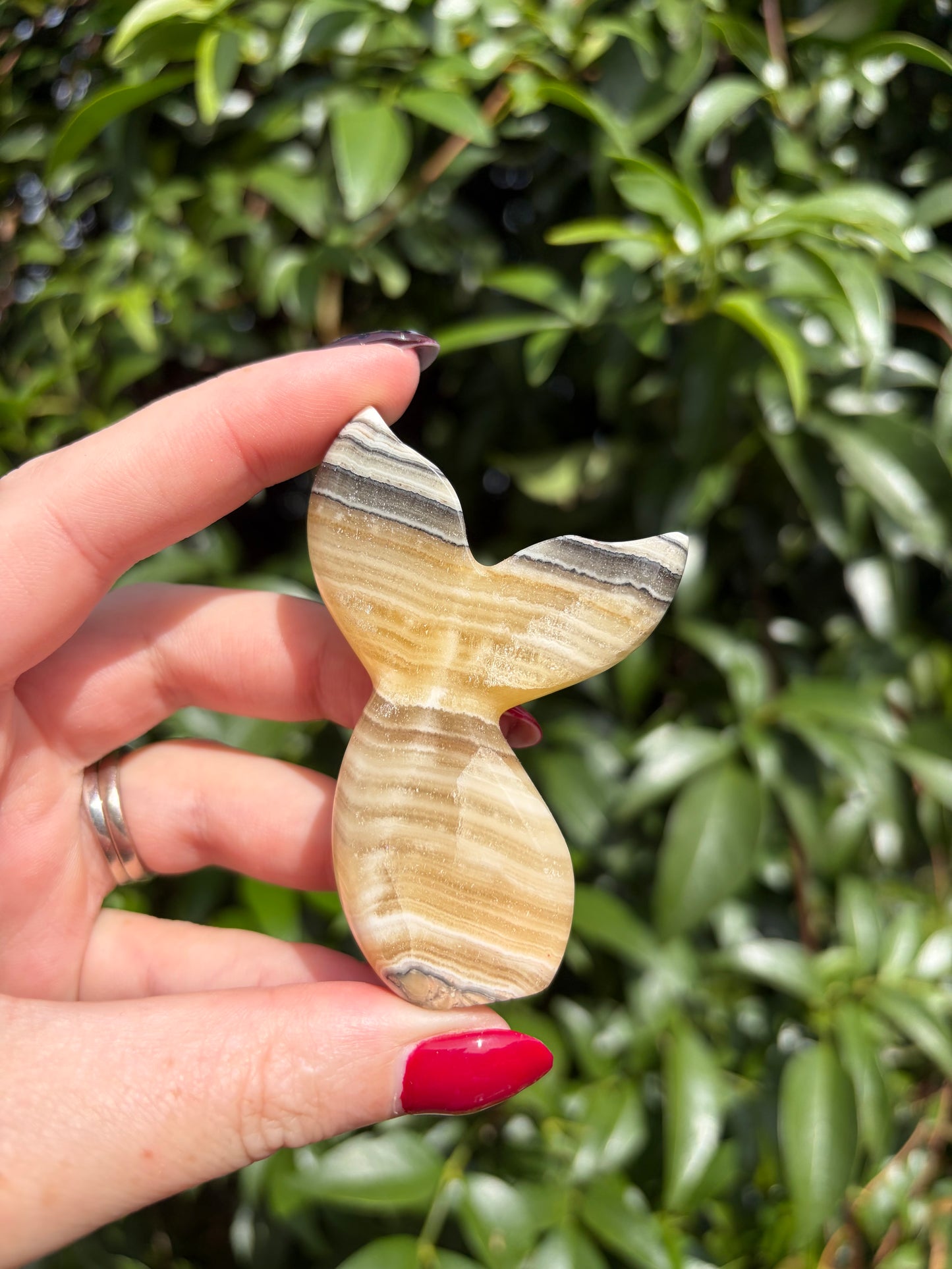 Zebra Calcite Mermaid Tail E