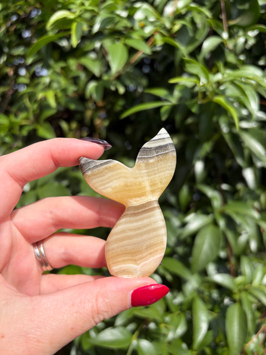 Zebra Calcite Mermaid Tail E