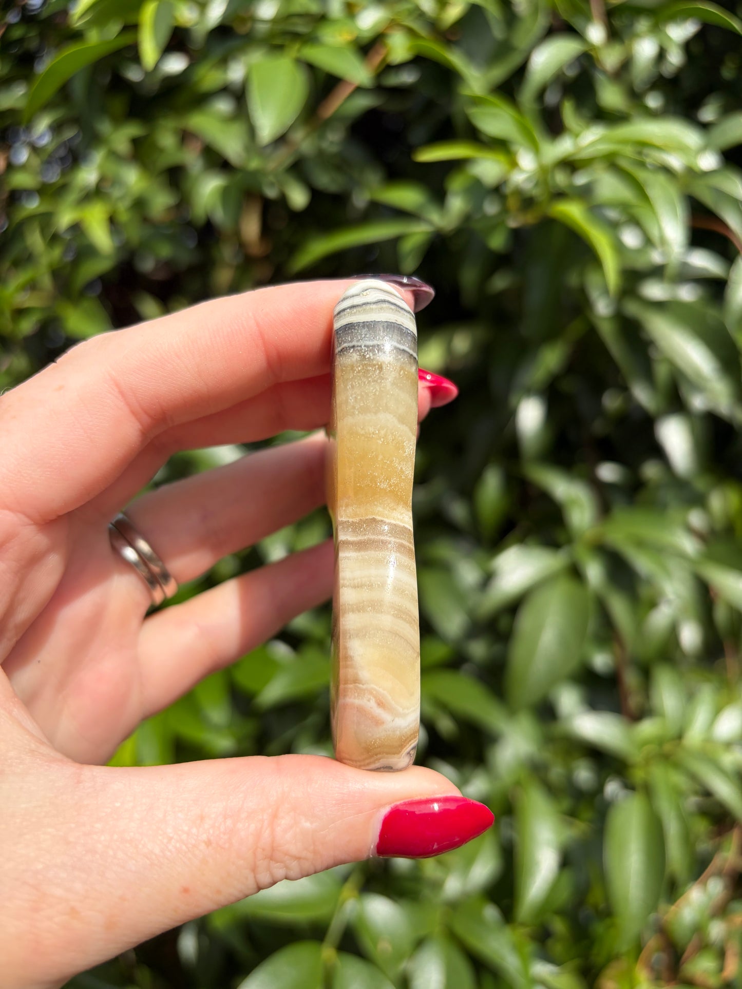 Zebra Calcite Mermaid Tail E