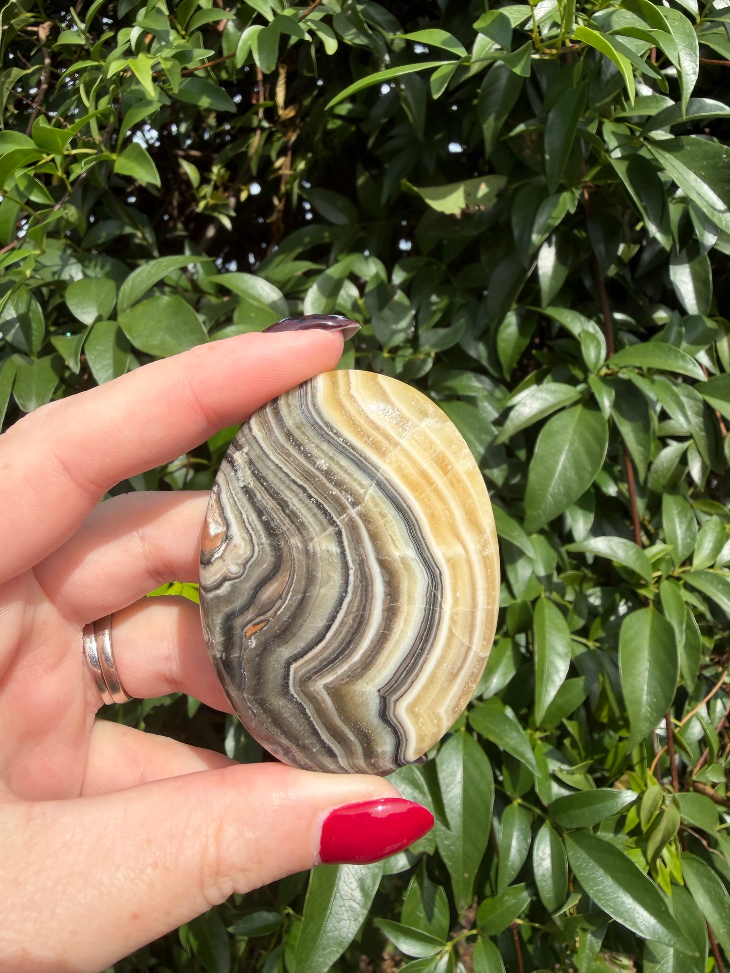 Zebra Calcite Palm Stone C