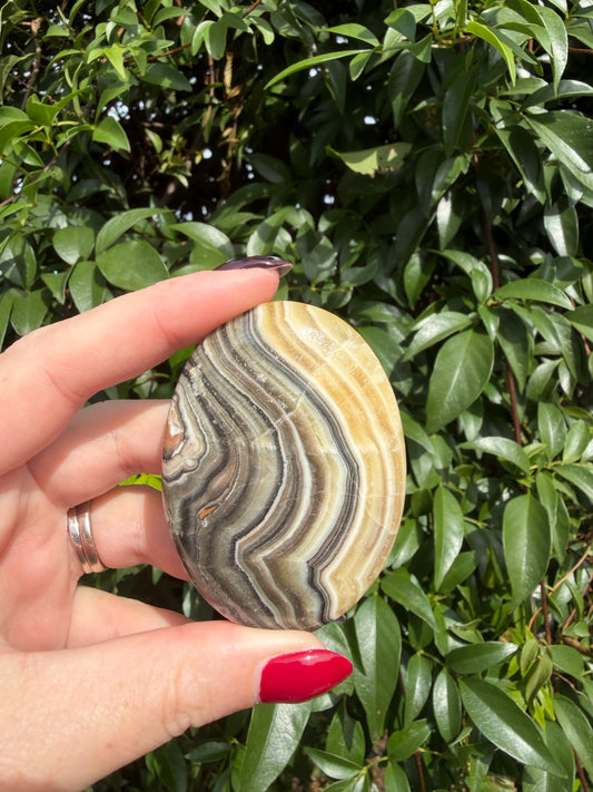Zebra Calcite Palm Stone C