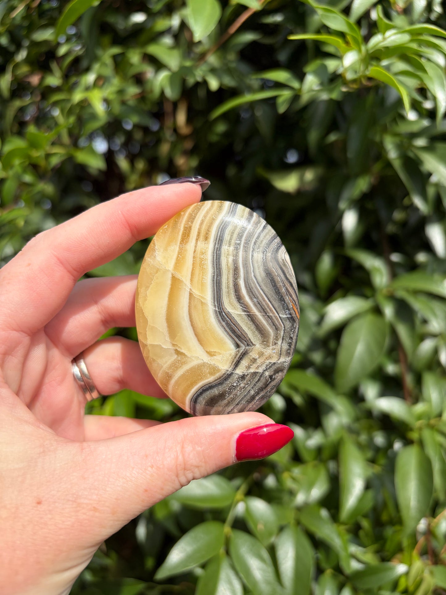 Zebra Calcite Palm Stone C
