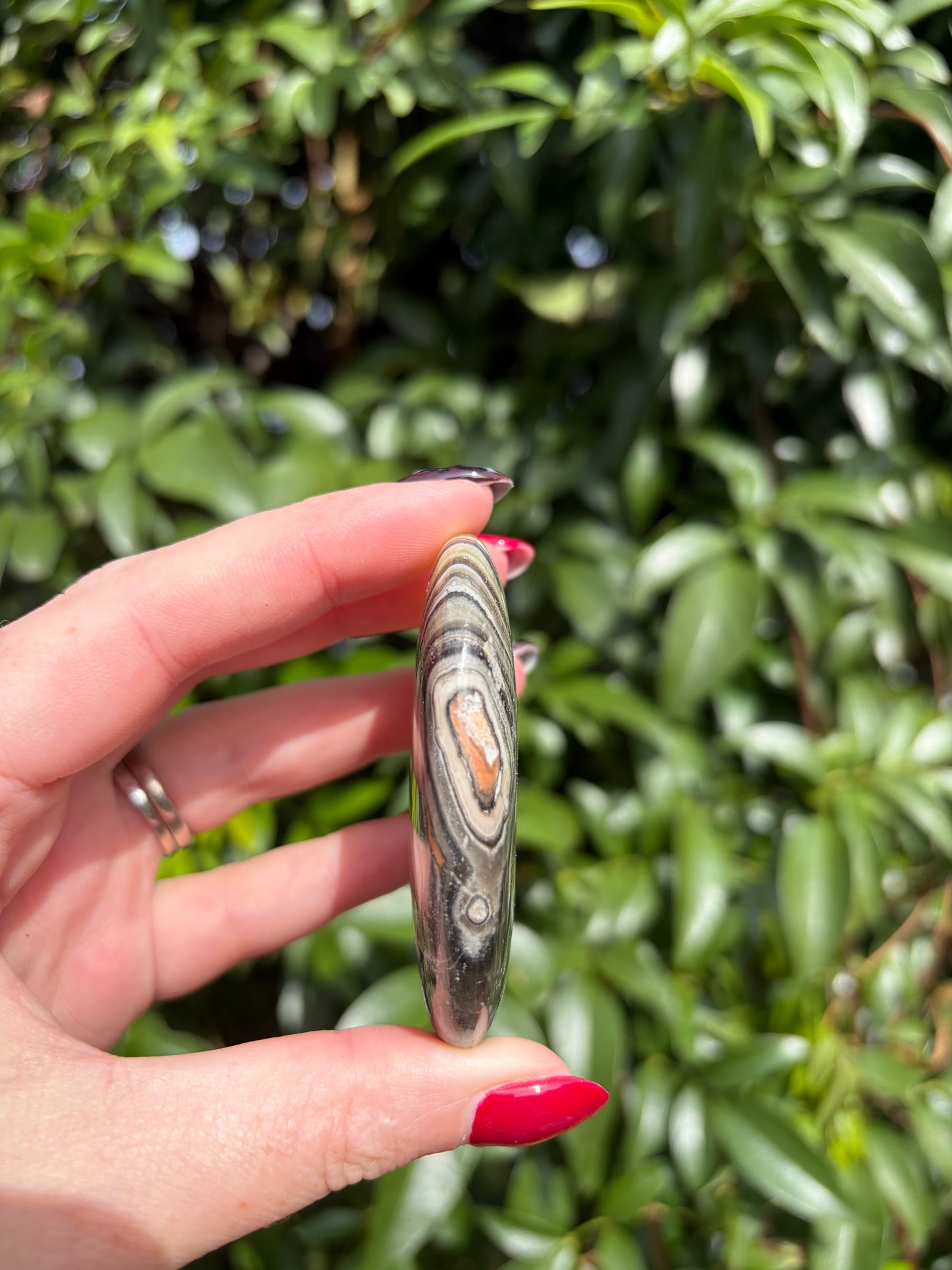 Zebra Calcite Palm Stone C