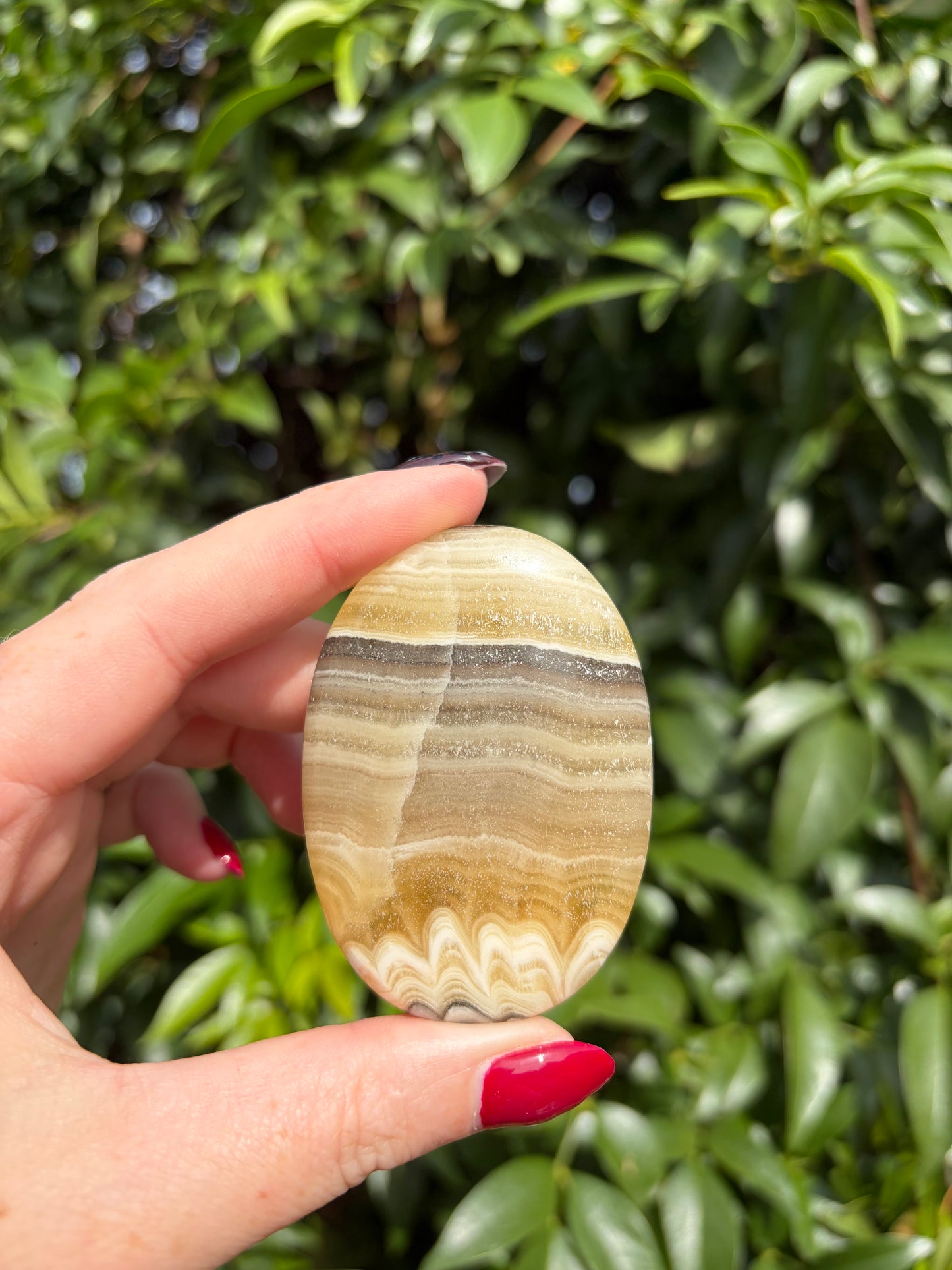 Zebra Calcite Palm Stone D