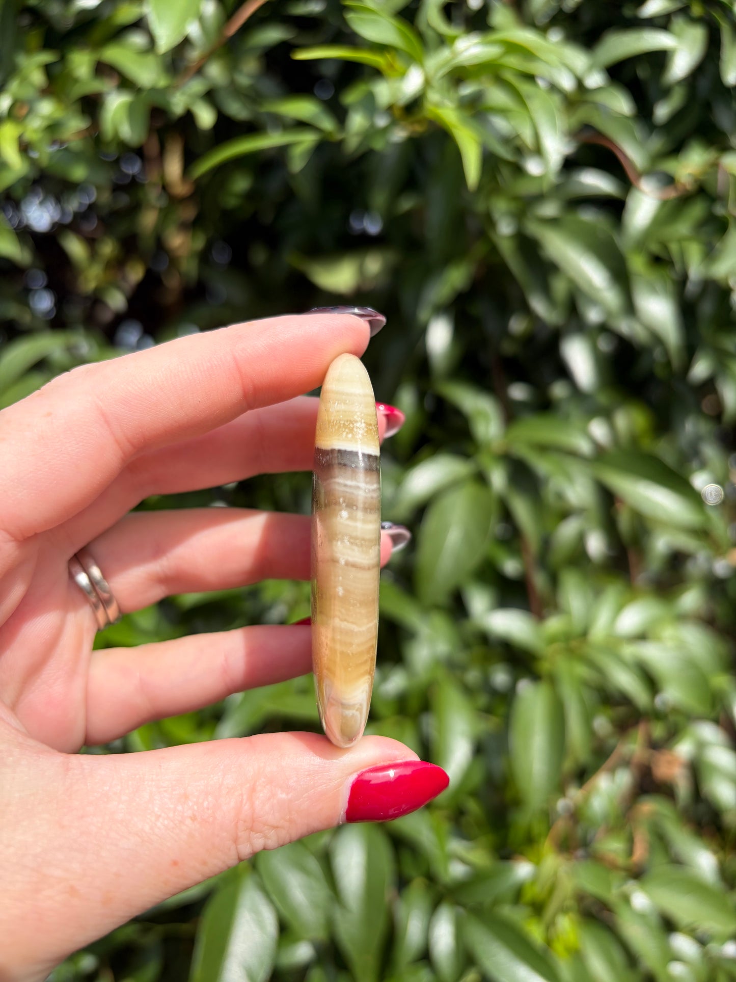 Zebra Calcite Palm Stone D