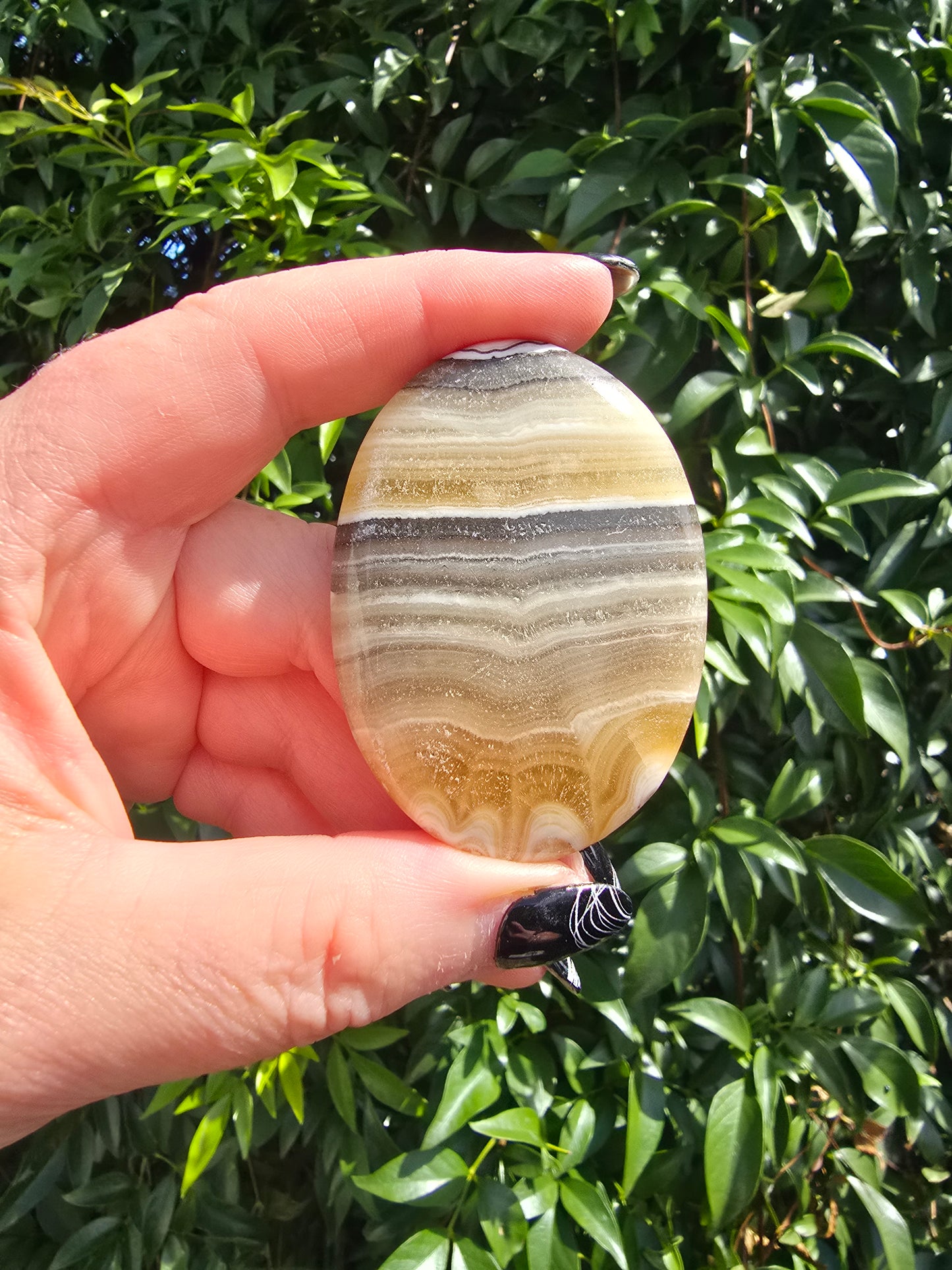 Zebra Calcite Medium Palm Stone