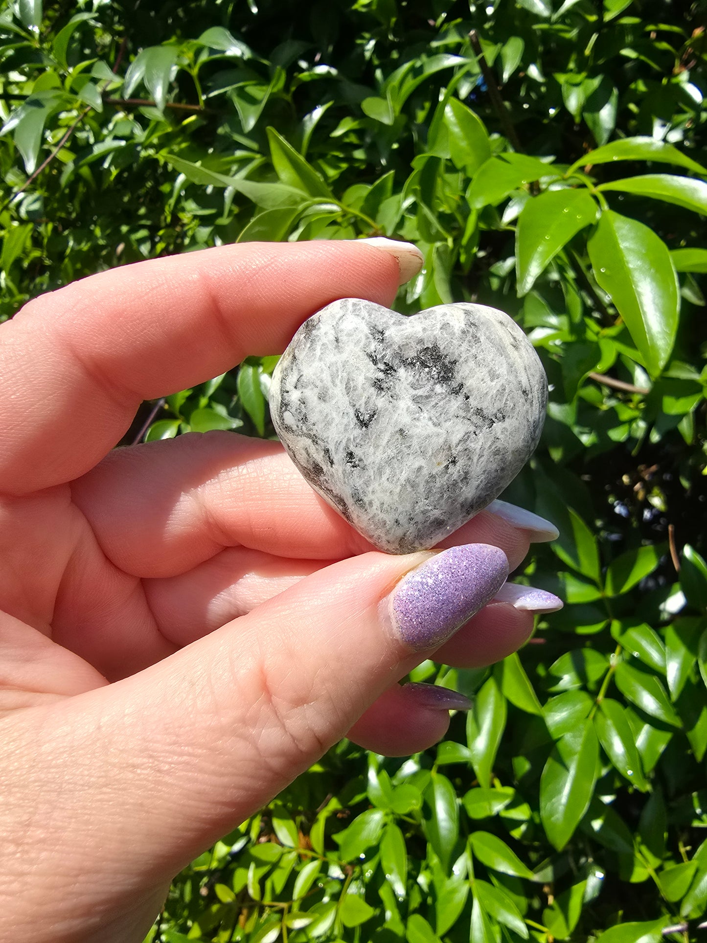 Zebra Stone Small Heart