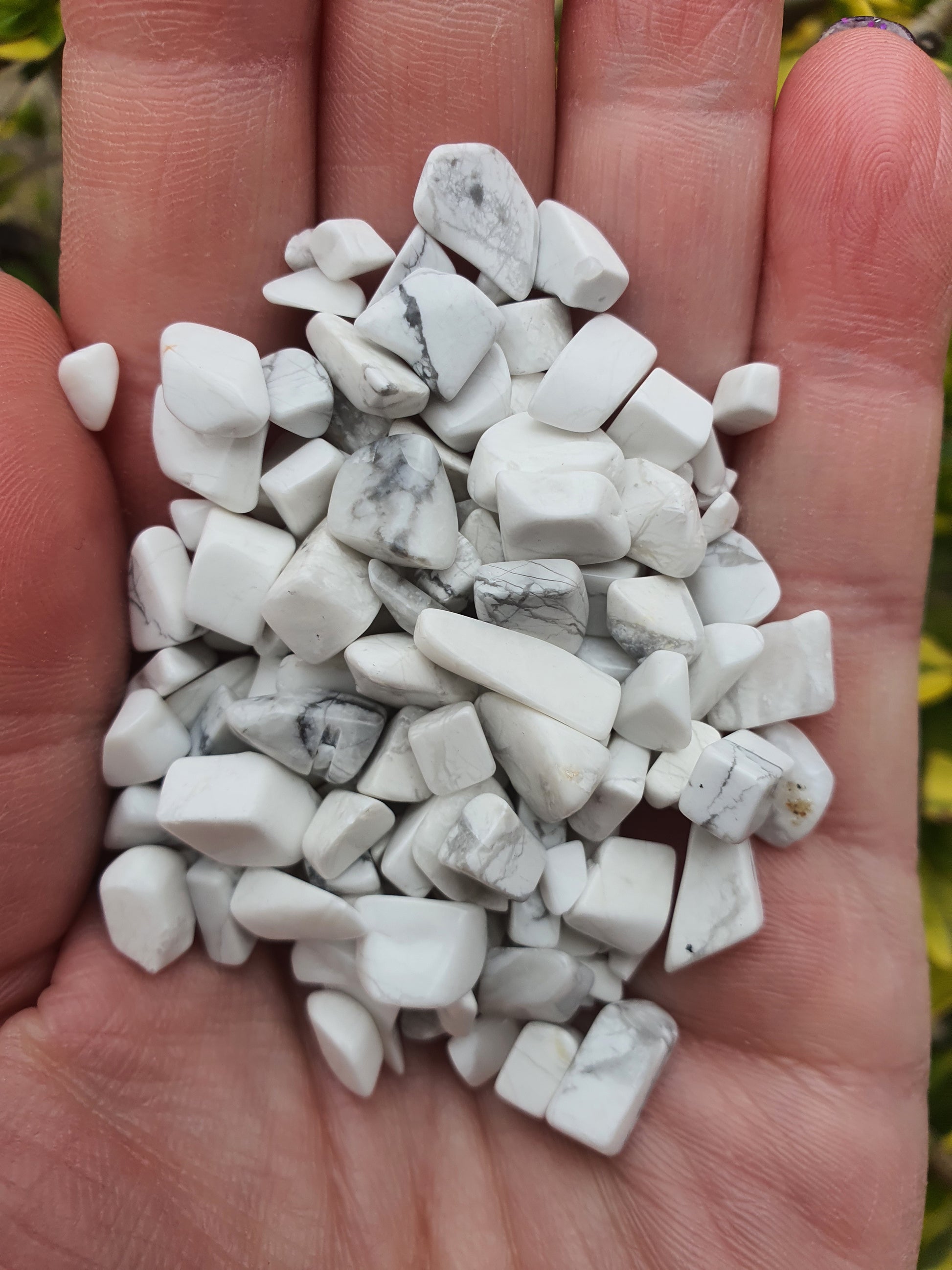 Howlite Crystal Chip 100 gms Bag – Daughters And Co Crystals