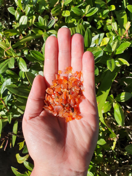 Carnelian Crystal Chip 100 gms Bag
