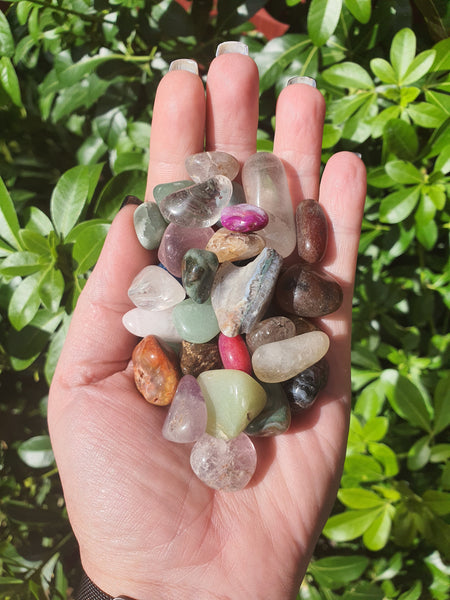 Mixed Crystal Chip Bags Large