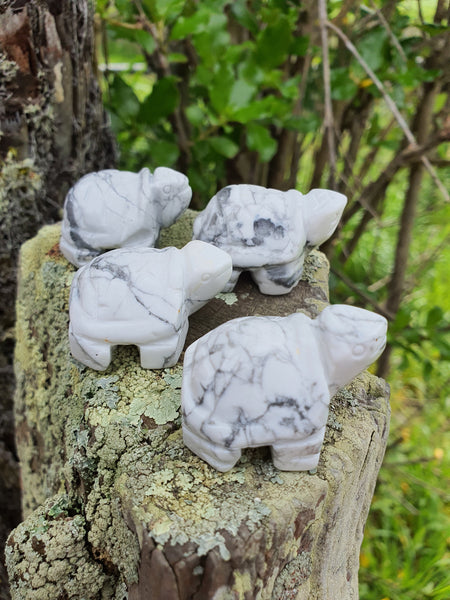 Howlite Turtle