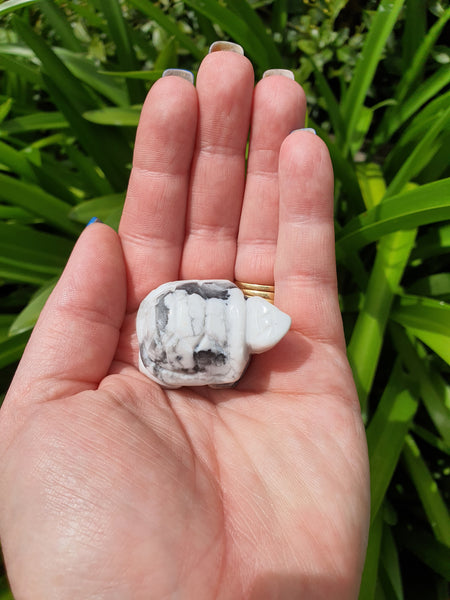 Howlite Turtle