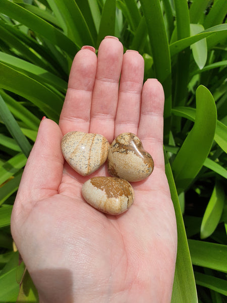 Picture Jasper Heart