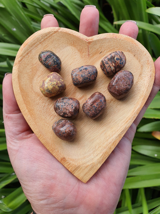 Leopardskin Jasper Tumbled Stone Small