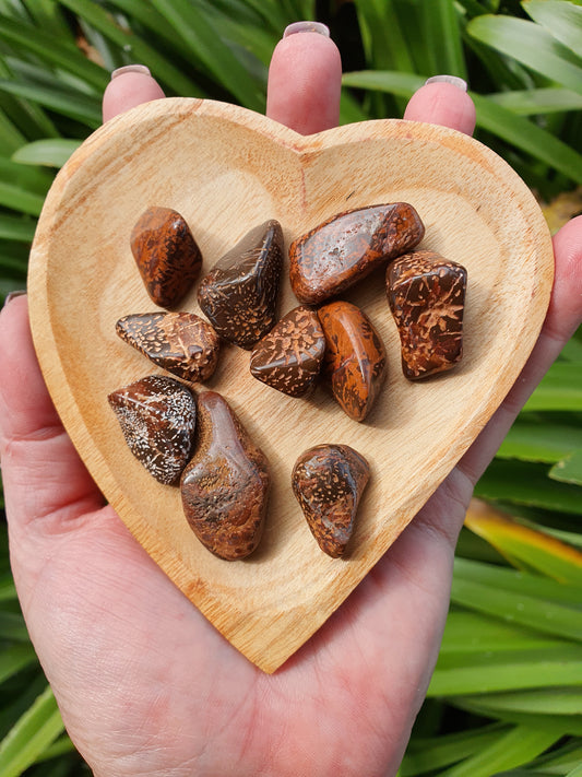Star Jasper Tumbled Stones