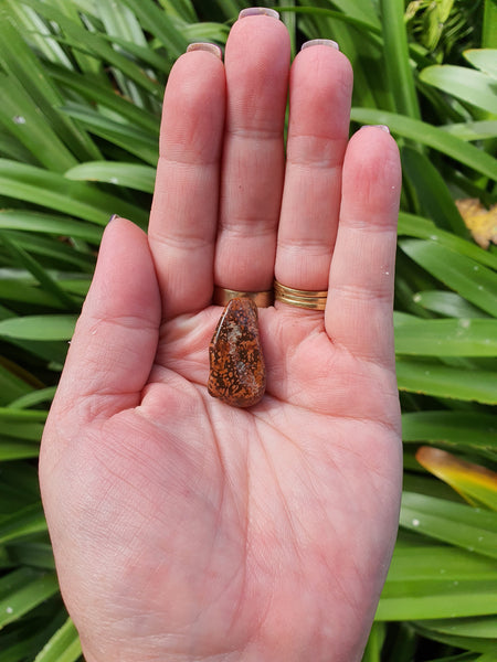 Star Jasper Tumbled Stones