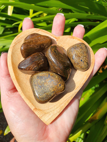 Bronzite Tumbled Stones Large