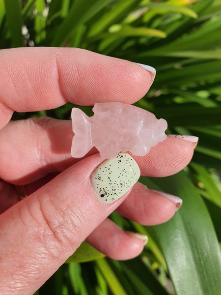 Rose Quartz Mini Fish