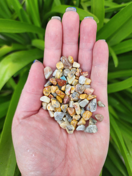 Crazy Lace Agate Crystal Chip 100 gms Bag