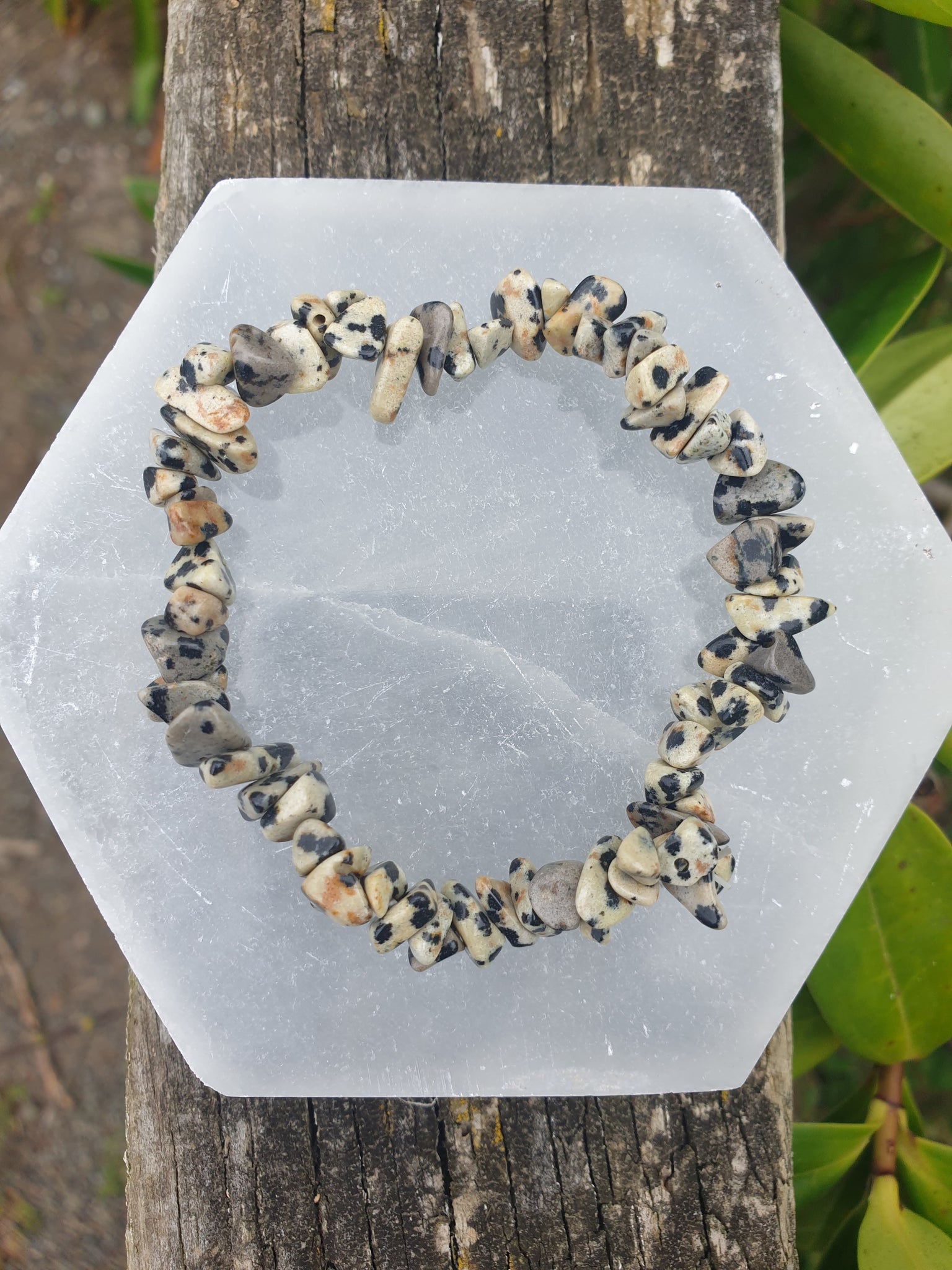 Dalmatian Jasper Crystal Chip Bracelet 