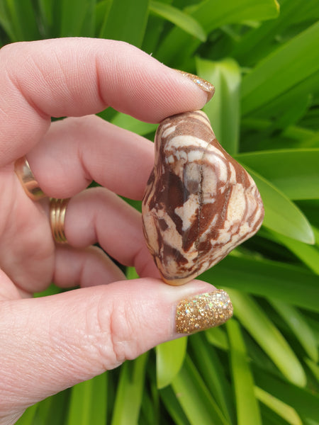 Zebra Jasper Tumbled Stone