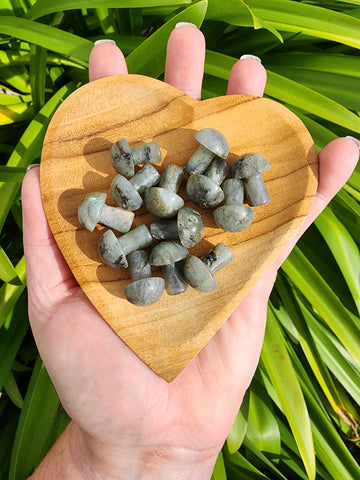 Labradorite Mini Mushroom