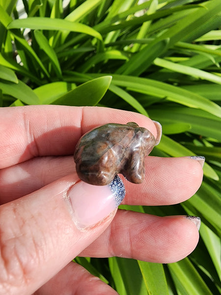 Que Sera Mini Frog