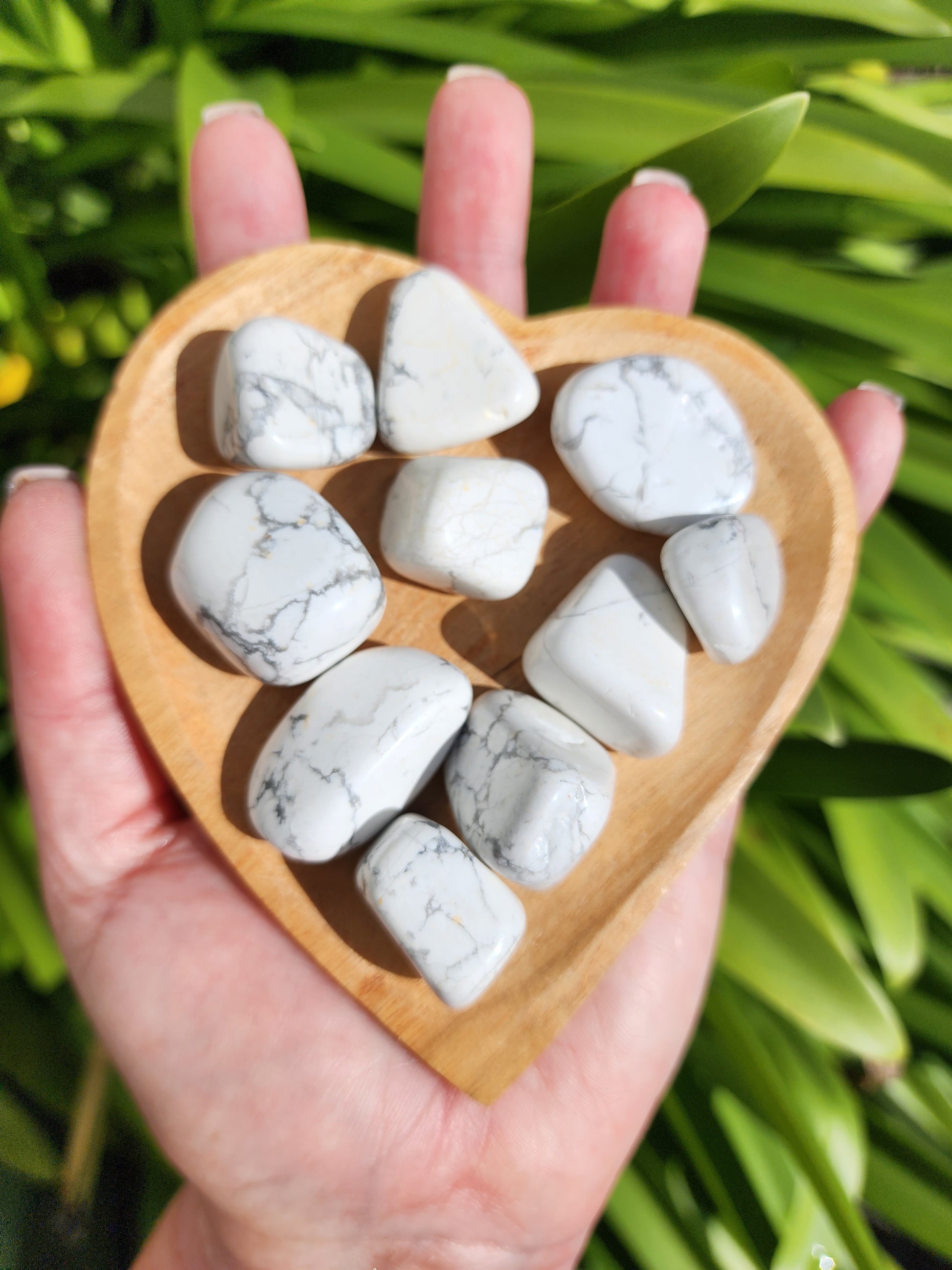 Howlite Tumbled Stones 10 Pack Valued at $30 – Daughters And Co Crystals