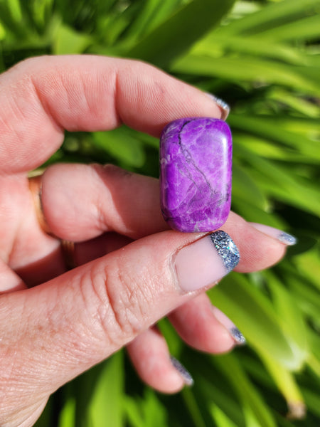 Howlite Purple Tumbled Stones 10 Pack $20 Valued at $30