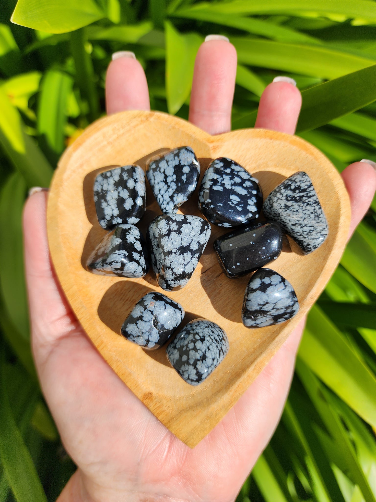 Snowflake Obsidian Tumbled Stones 20 Pack $20 Valued $30