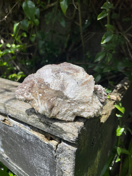 Lepidolite, Mica & Green Tourmaline Rough Piece