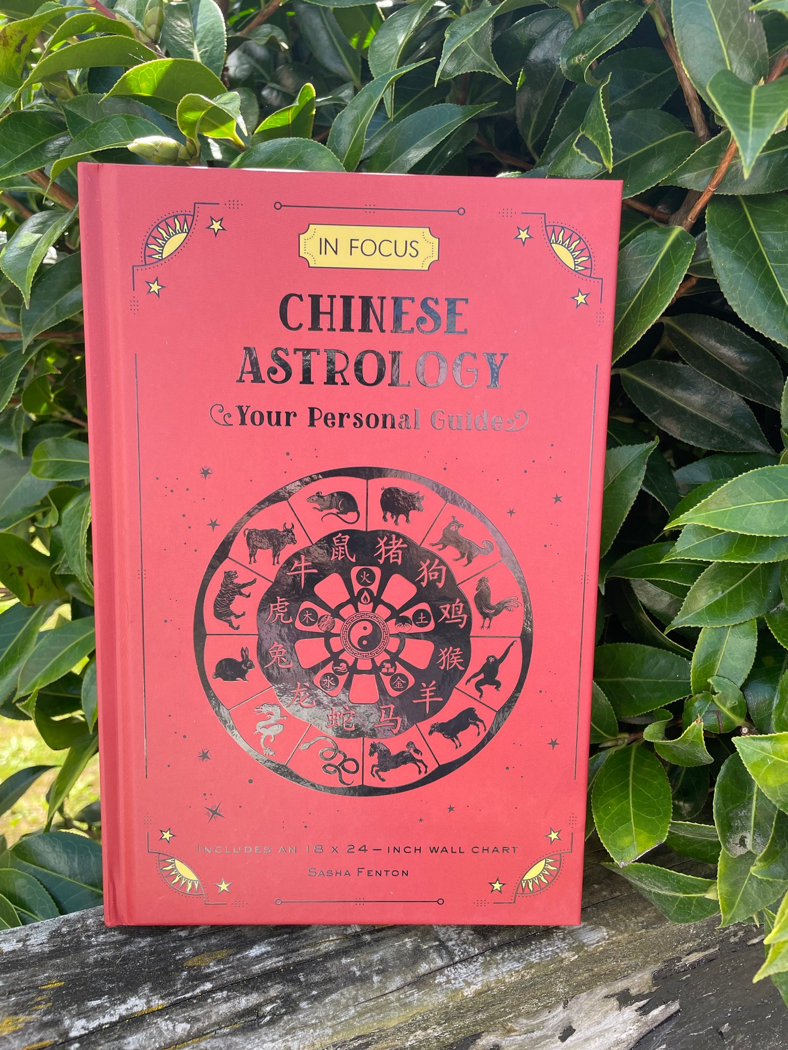 In Focus Chinese Astrology Book Daughters And Co Crystals