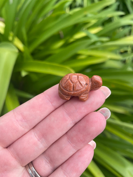 Goldstone Mini Land Turtle