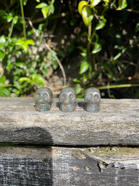African Bloodstone Mini Skull