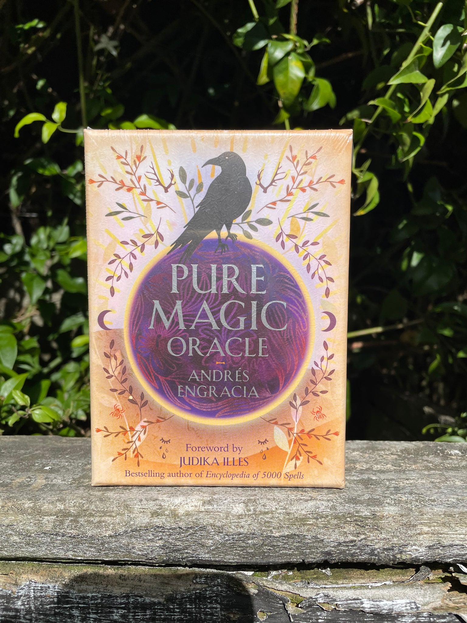 Pure Magic Oracle Cards