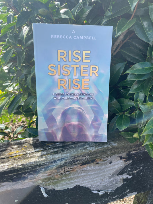 Rise Sister Rise Book