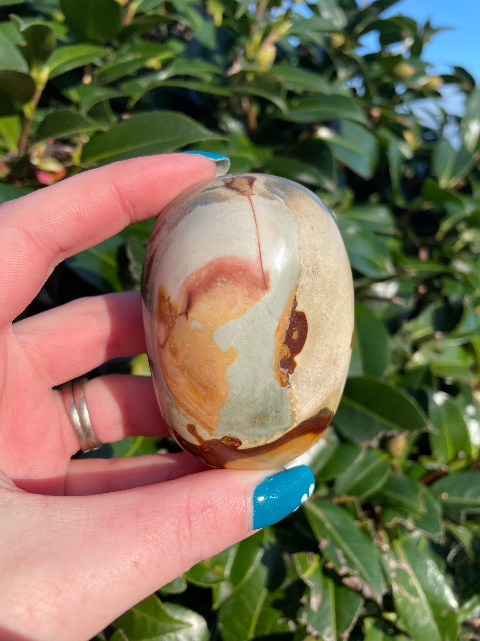 Polychrome Jasper Palm Stone B